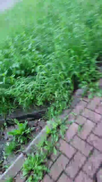 Geil32hb  05-07-2021 Recorded Video Cam